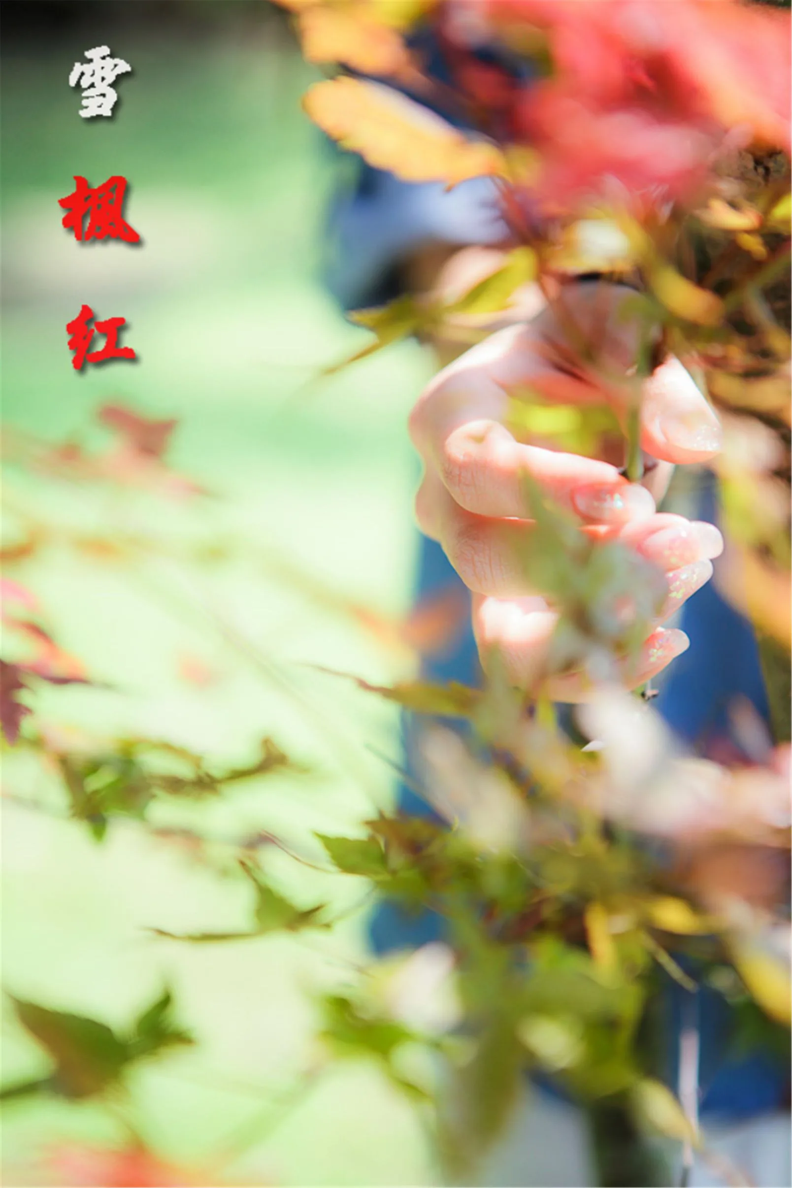 [Chương bổ sung của Beautyleg] Winnie Xiaoxue - Bộ ảnh ngoại cảnh đẹp và thanh lịch độ phân giải cực cao - 2